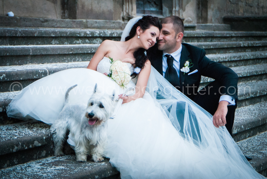 wedding dog sitter music planning musica matrimonio roma rieti lazio catelli romani, musica ricevimento roma, musica cerimonia roma